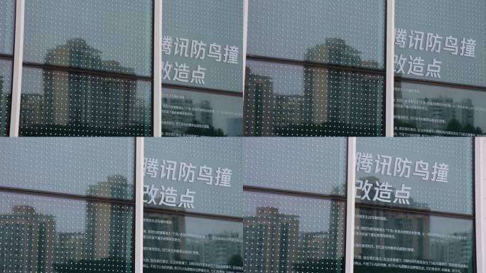 腾讯滨海大厦“防鸟撞改造点”波点贴纸