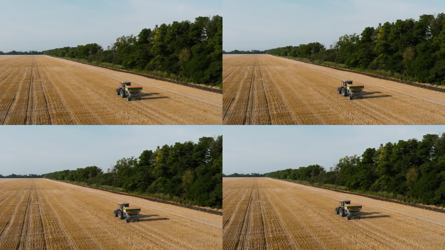 农民在拖拉机上给农田施肥。慢动作视频中施用矿肥，在麦田中施用颗粒肥。