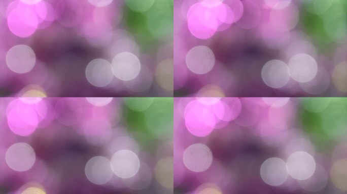 散焦抽象背景，粉红色，绿色和白色的光