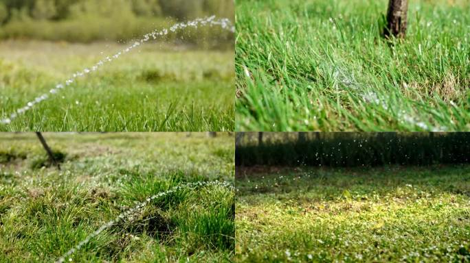 绿地浇水自动灌溉4K慢动作