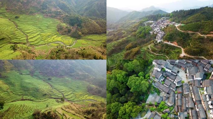 高山梯田 老房屋 农田