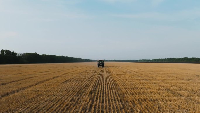 农民在拖拉机上给农田施肥。慢动作视频中施用矿肥，在麦田中施用颗粒肥。