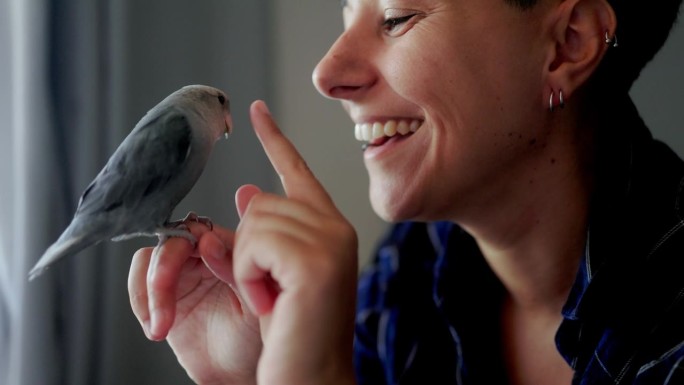 快乐的女人在家里抚摸鹦鹉鸟-主人与动物的友谊和家庭生活理念