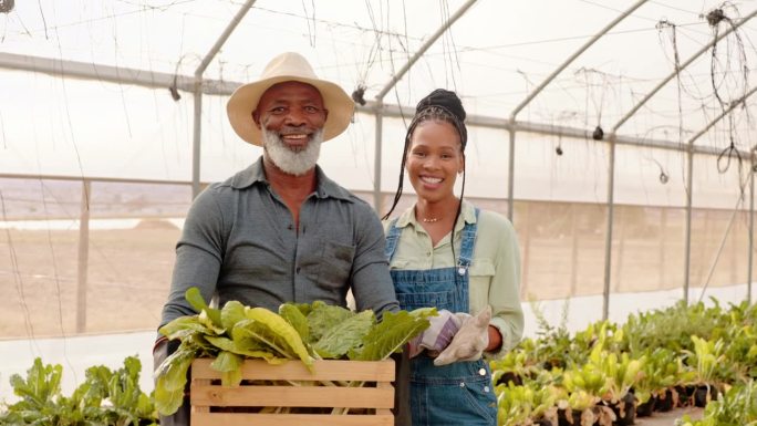 温室、蔬菜和农民黑人对食物、供应链或篮子里的优质产品笑脸相迎。非洲妇女和合作伙伴或团队在农业业务与植
