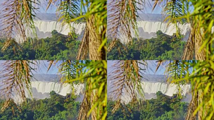 树叶勾勒出伊瓜苏瀑布的远景