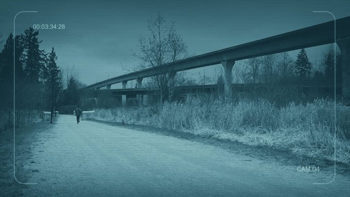 闭路电视男子在高速公路附近奔跑，嫌疑人，受害者，犯罪概念