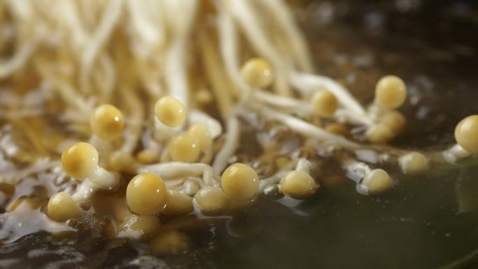 涮火锅 菌汤锅 涮青菜 涮金针菇 菌汤