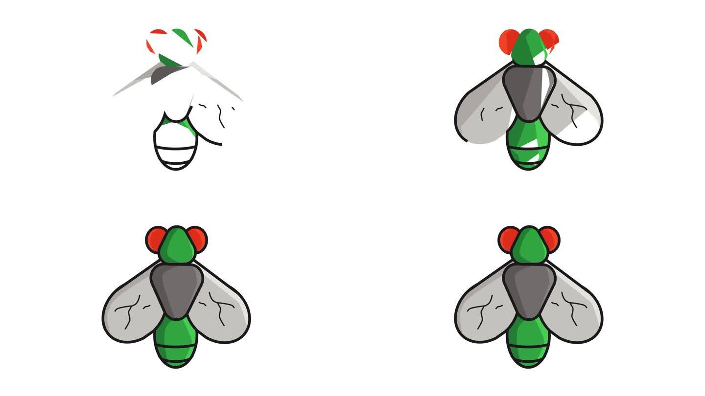 苍蝇在白色背景上形成的动画视频