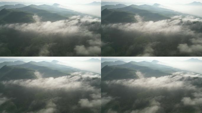 山 雨雾 风景 雾 自然 雾气