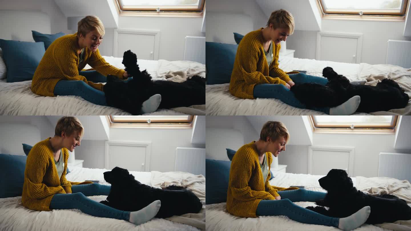 一个女人坐在家里的床上和她的宠物黑猎犬玩耍