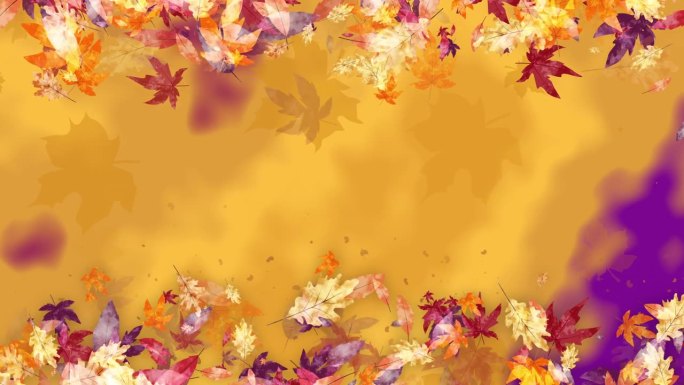 黄色的秋天背景，紫色的斑点和落下的彩色枫叶。副本的空间。循环运动图形。