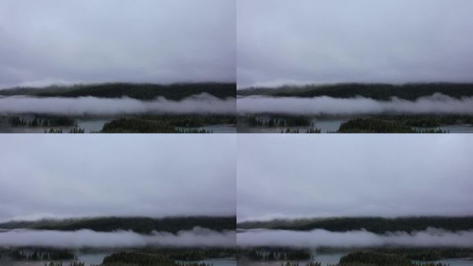 喀纳斯湖 山雾