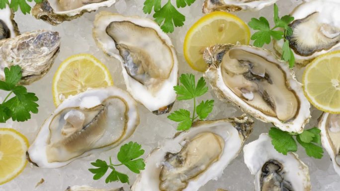 半壳牡蛎菜品展示特色美食