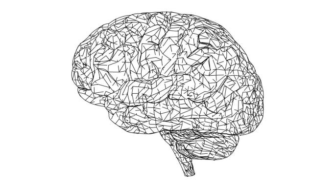 连接着线和点的大脑网络。白色背景上的多边形人脑动画。科学与技术。未来与神经科学概念