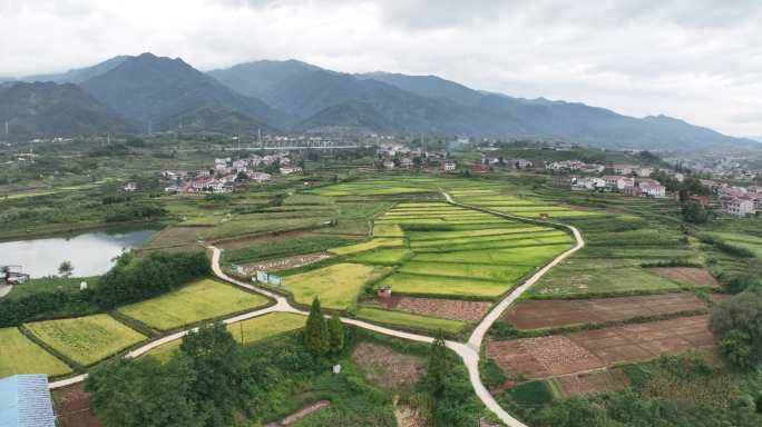 4K汉阴油菜花航拍