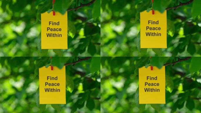 一张写着“寻找内心的平静”的黄色纸条，用别针别在树枝上。