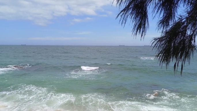 海风吹得树木摇曳。海浪翻滚，白色的泡沫，撞在越南宁顺省的Ca Na海滩上。