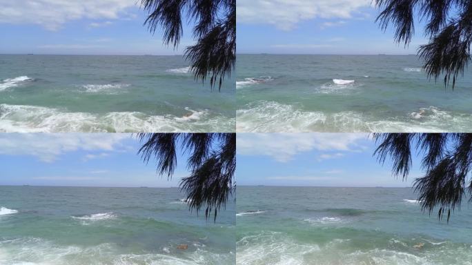 海风吹得树木摇曳。海浪翻滚，白色的泡沫，撞在越南宁顺省的Ca Na海滩上。