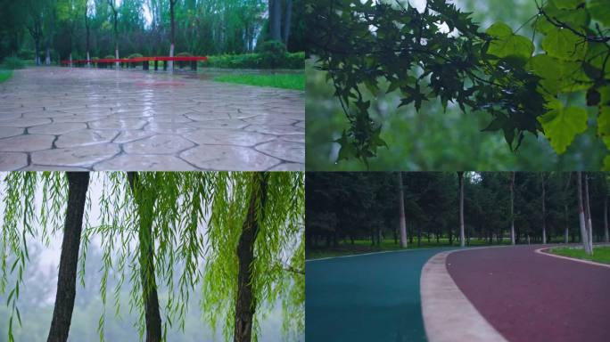 雨中公园初秋雨景雨滴湖面柳树摇摆