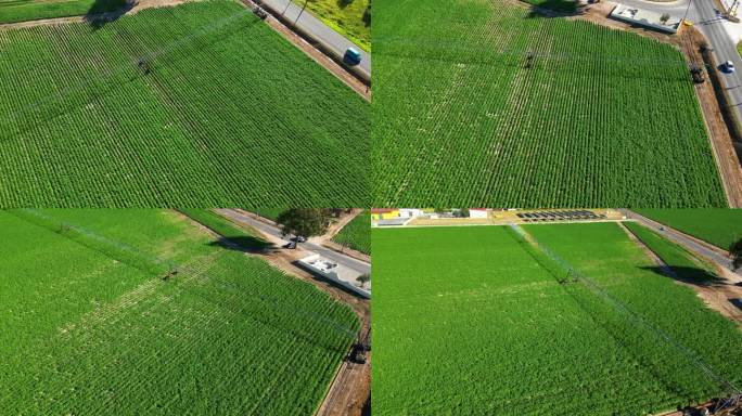 葡萄牙，在灌溉系统运行的情况下，在马铃薯田上空盘旋，形成彩虹效果