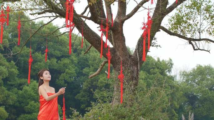 女子在树下祈福