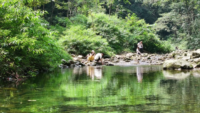 4K-Log-航拍张家界金鞭溪风景区