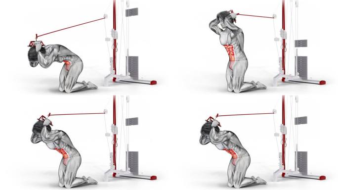 一个肌肉发达的男人练习腹部-电缆跪嘎吱在健身房锻炼适合的3d插图