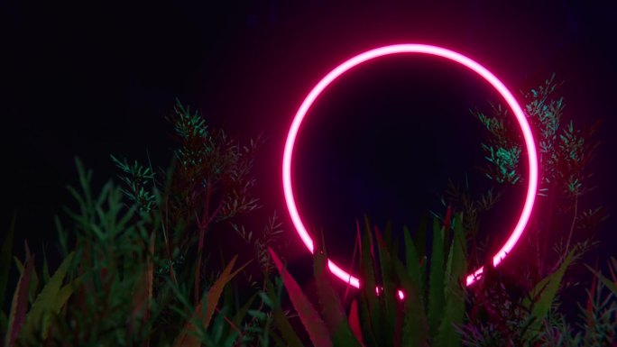 热带植物间的红色霓虹灯圈。Retrowave循环3d动画