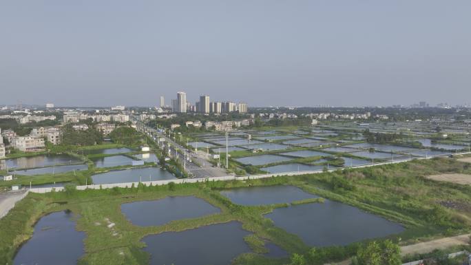 航拍北海海丝首港傍鱼场虾塘