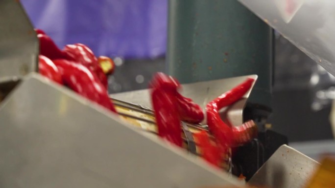 美国工厂自动网带机输送机上红辣椒辣椒的特写