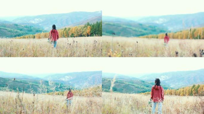 女孩背影行走在秋天的原野上升格慢动作
