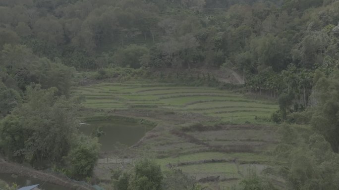 五指山新农村航拍