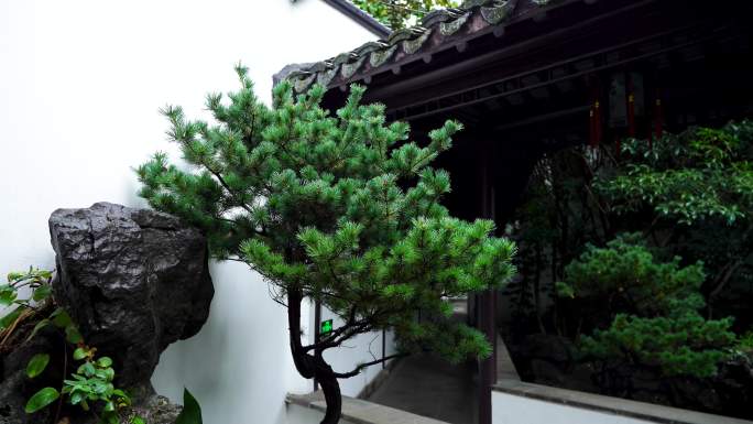 古典园林南京夫子庙瞻园庭院屋檐雨滴和雨水