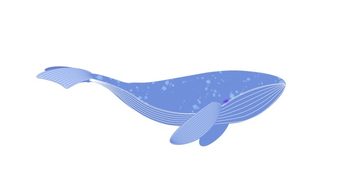 循环动画鲸鱼插图与透明背景组成视频