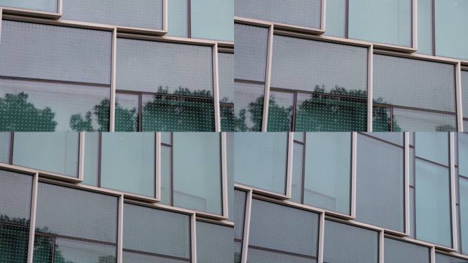 腾讯滨海大厦“防鸟撞改造点”波点贴纸