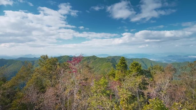 秋天或秋天，山峦和树叶随风摇曳的壮观景色，日本香川县的龙游山，自然或徒步背景