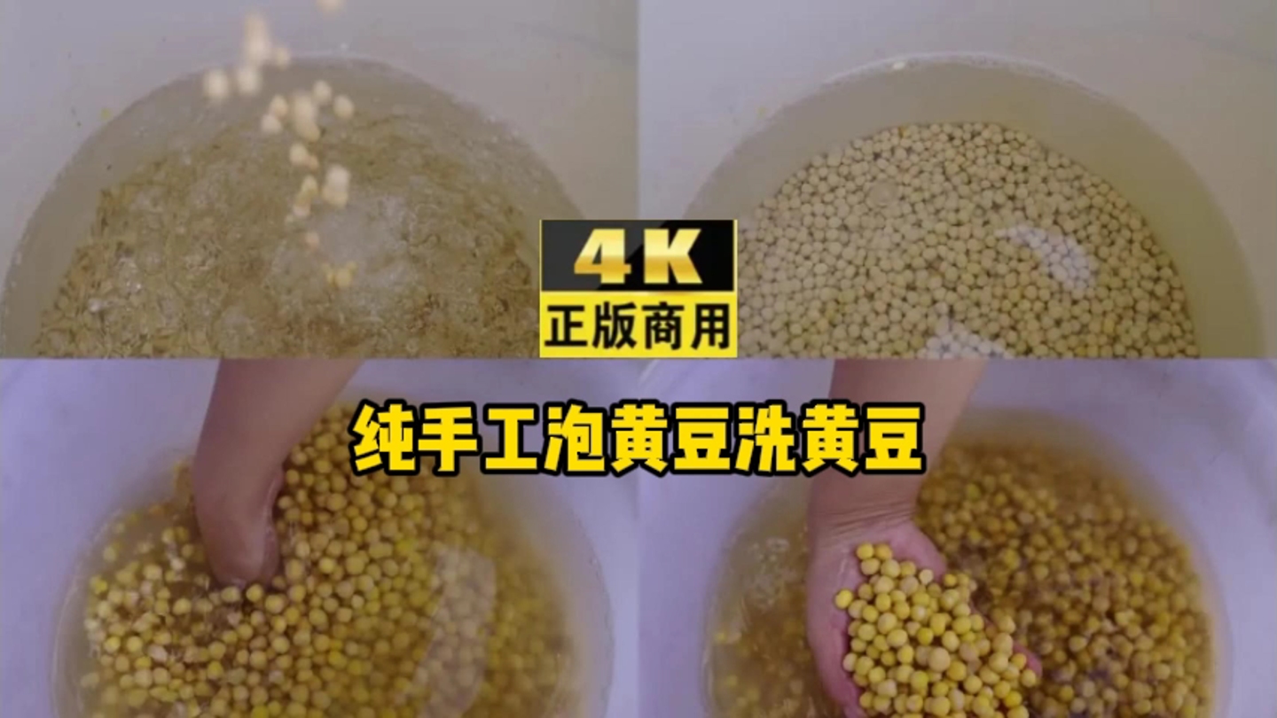 纯手工泡黄豆洗黄豆