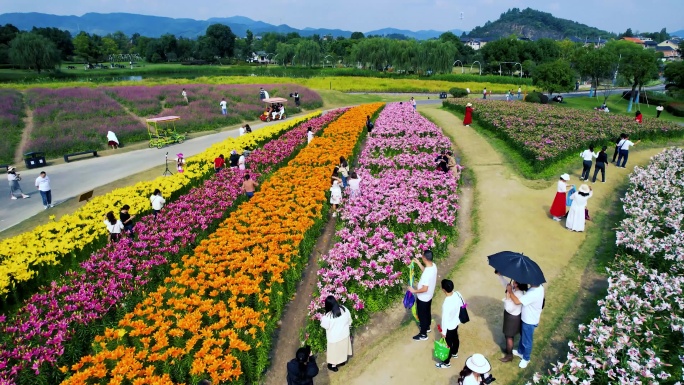 花海 公园 五A级景区 花海游玩 赏花