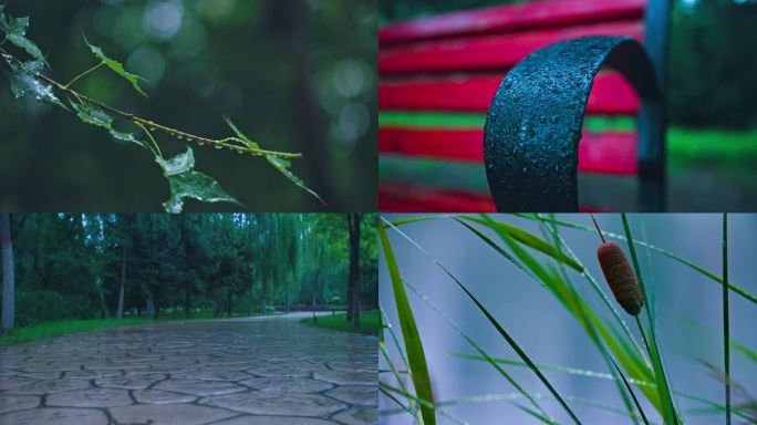 秋雨公园初秋雨景雨滴湖面柳树摇摆