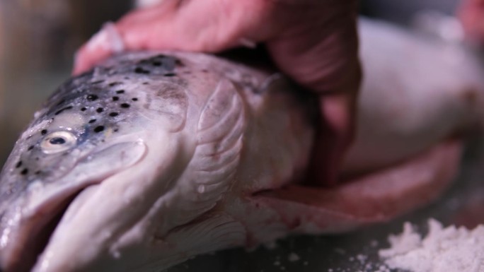腌制红鲑鱼的过程把鱼从壳上剥下来，盖上盐，然后腌一会儿美味的健康食品天然产品海鲜男手特写清洁鱼