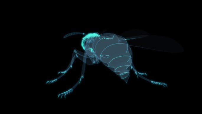 蚂蚁 昆虫蛐蛐虫子夏季炎热蝉蚊虫叮咬可怕