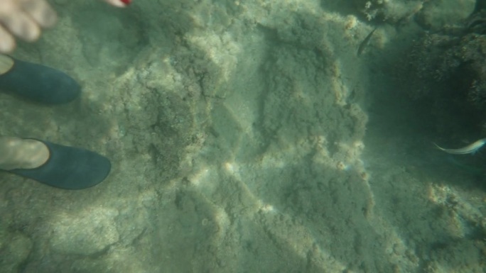 水下摄像机捕捉到一名妇女指着岩石附近游动的一条鱼。