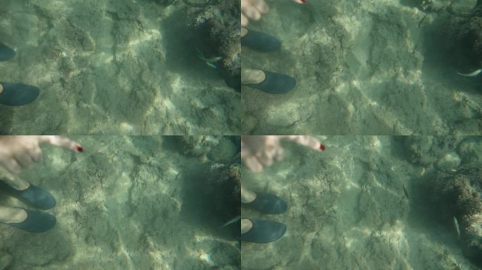 水下摄像机捕捉到一名妇女指着岩石附近游动的一条鱼。