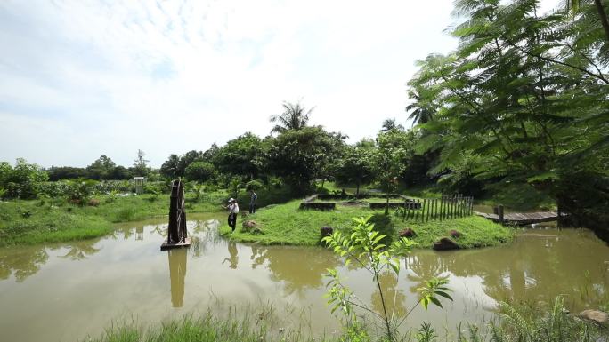 海南村庄风景