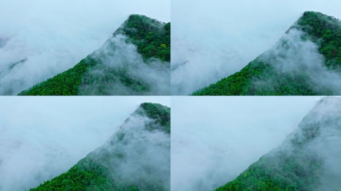 大山深处云雾缭绕