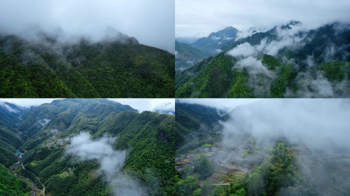 大自然山大山森林云雾