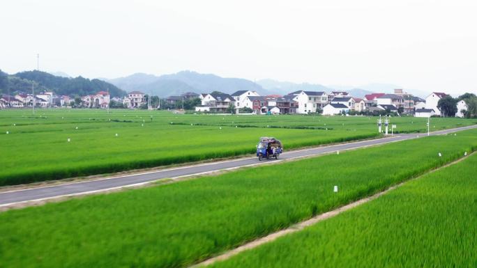 小三轮快递车货车行驶在乡村马路上