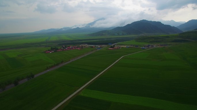 青海祁连山扁都沟麦田航拍风景