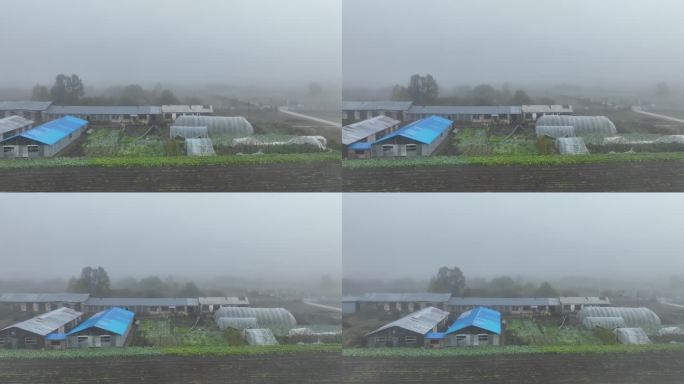 航拍晨雾中的乡村农家院