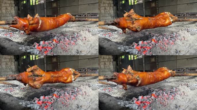 用传统的方法制作lecon。把整只猪放在炭火上烤